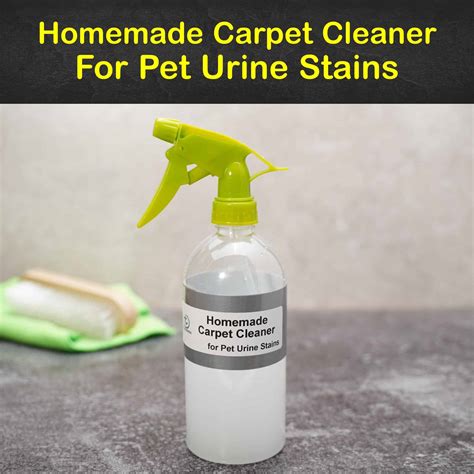 Carpet cleaner for dog pee. Things To Know About Carpet cleaner for dog pee. 